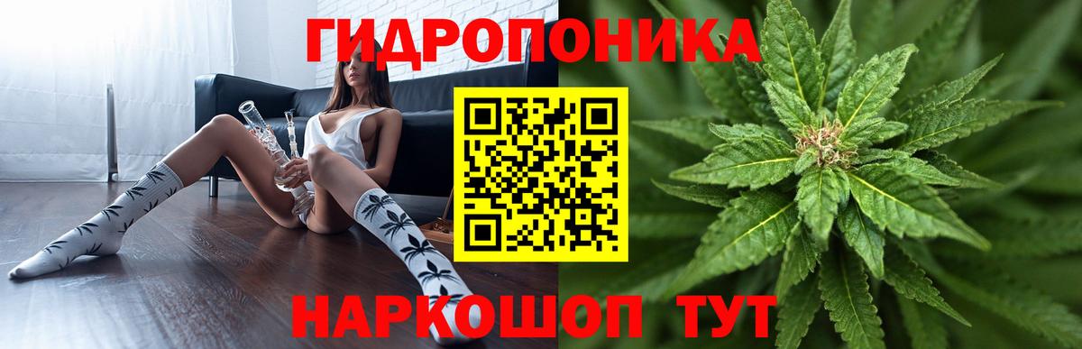 МАРИХУАНА семена  Шишки марихуана ГИДРОПОН  Тверь  Вход с VPN  Бошки Шишки VHQ 